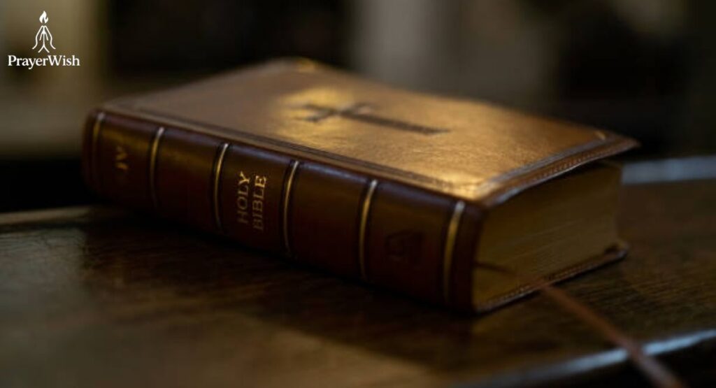 5 Bible Verses to Meditate on for a Good Day Today