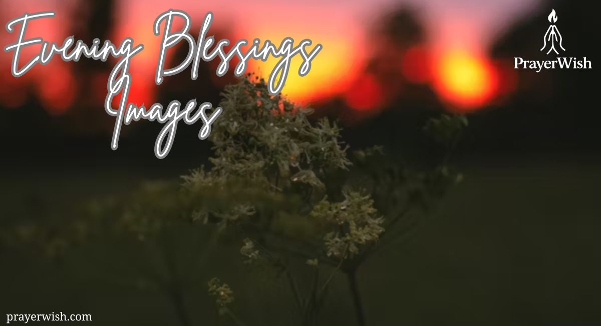 77 Best Evening Blessings Images, Quotes & Prayers