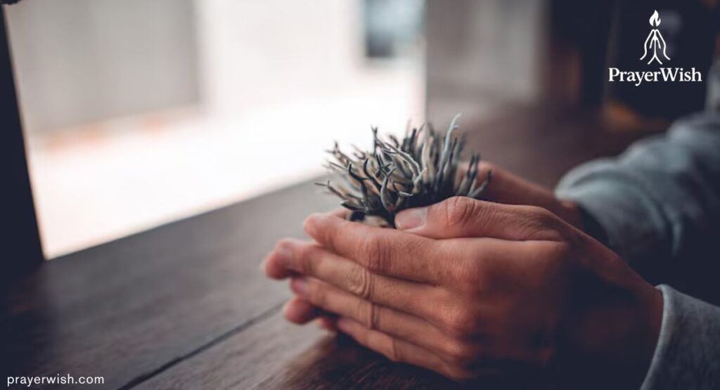 Prayer for Hope and Restoration (Scripture: Lamentations 3:22-24)