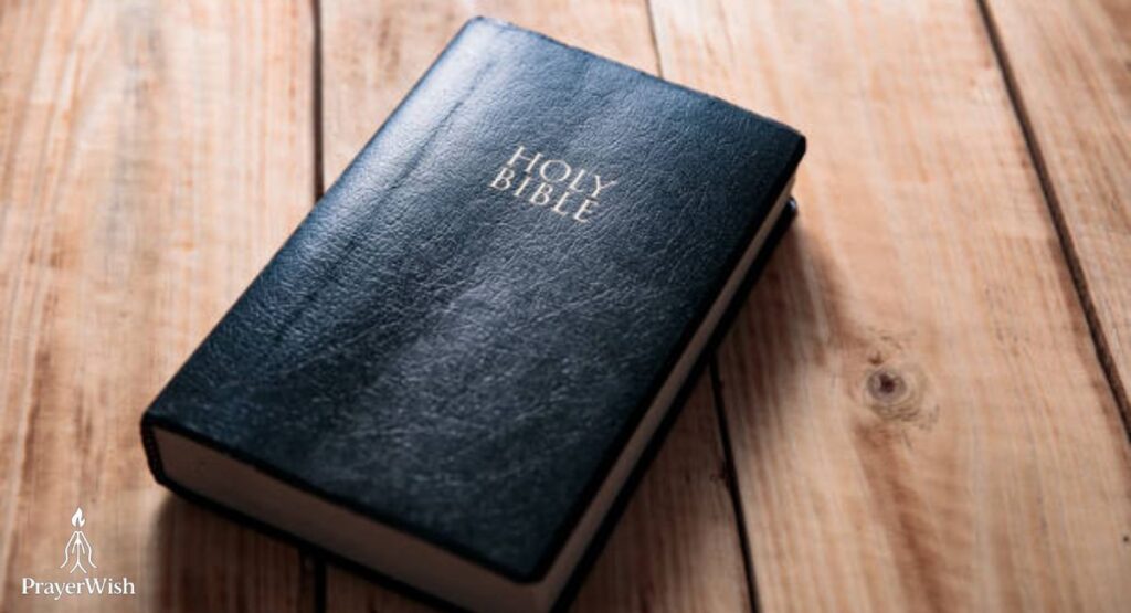 What the Bible Says About Protecting Our Loved Ones