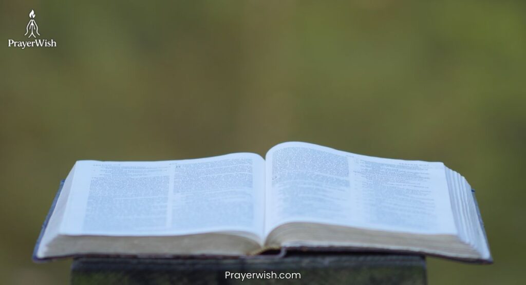 Consequences of Disrespecting Parents in Scripture