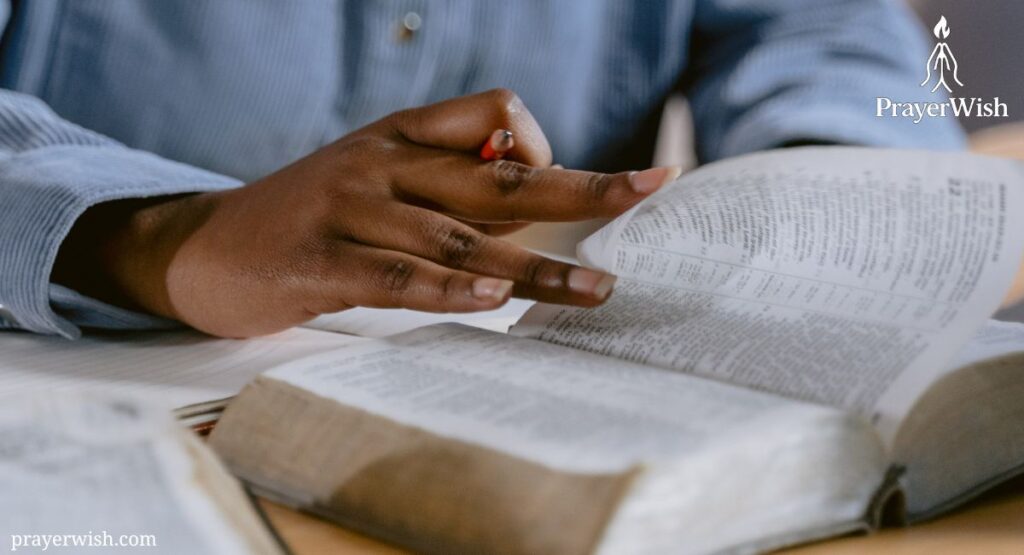 What Does the Bible Say About Knowledge and Wisdom?