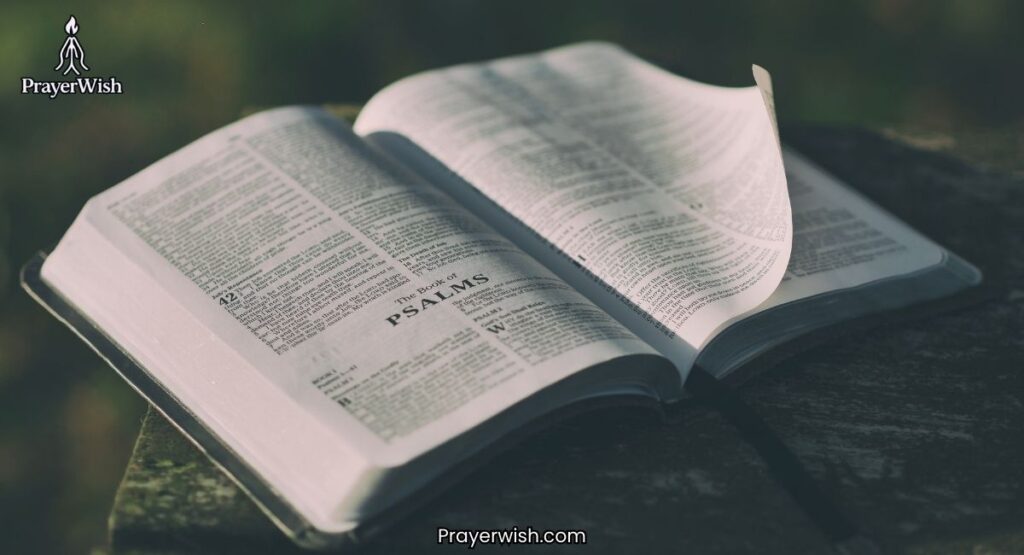 Bible Verses for Job Interview Encouragement