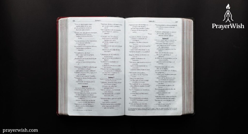 Bible Verses on Favour and Blessings