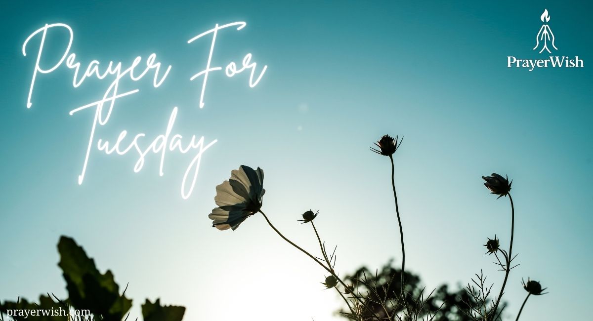 11 Powerful Prayer For Tuesday To Start Your Day Blessed