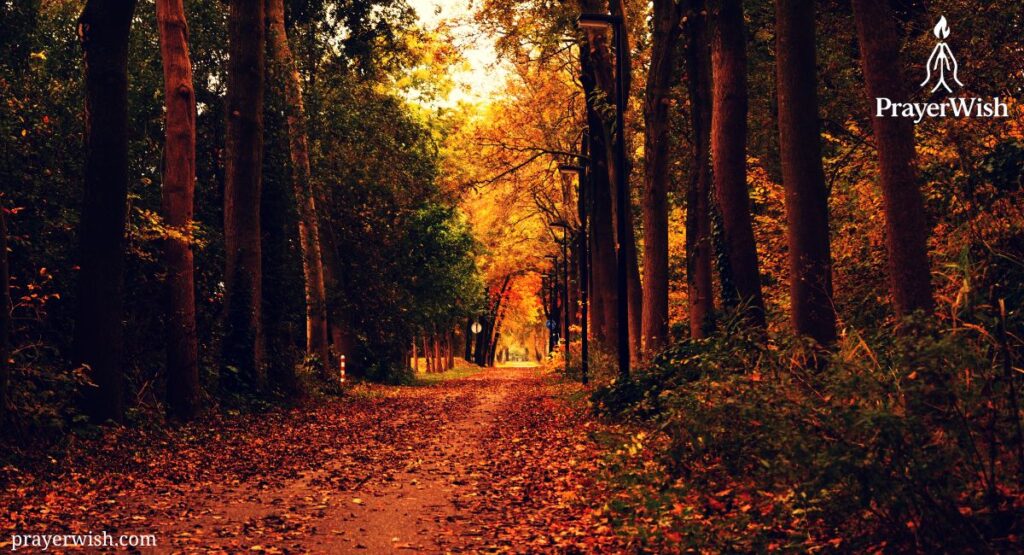 Prayer for Strength and Guidance in Hard Seasons