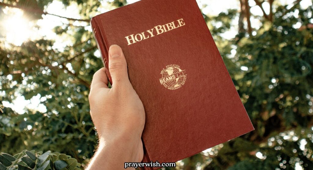 What Does the Bible Say About Divine Protection?